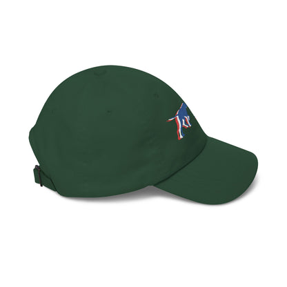 PRO Americana  Embroidered Dad Hat
