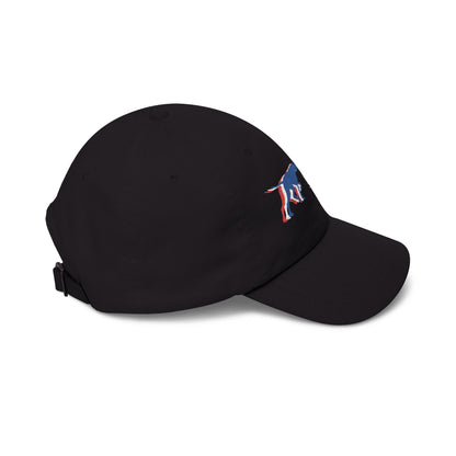 PRO Americana  Embroidered Dad Hat