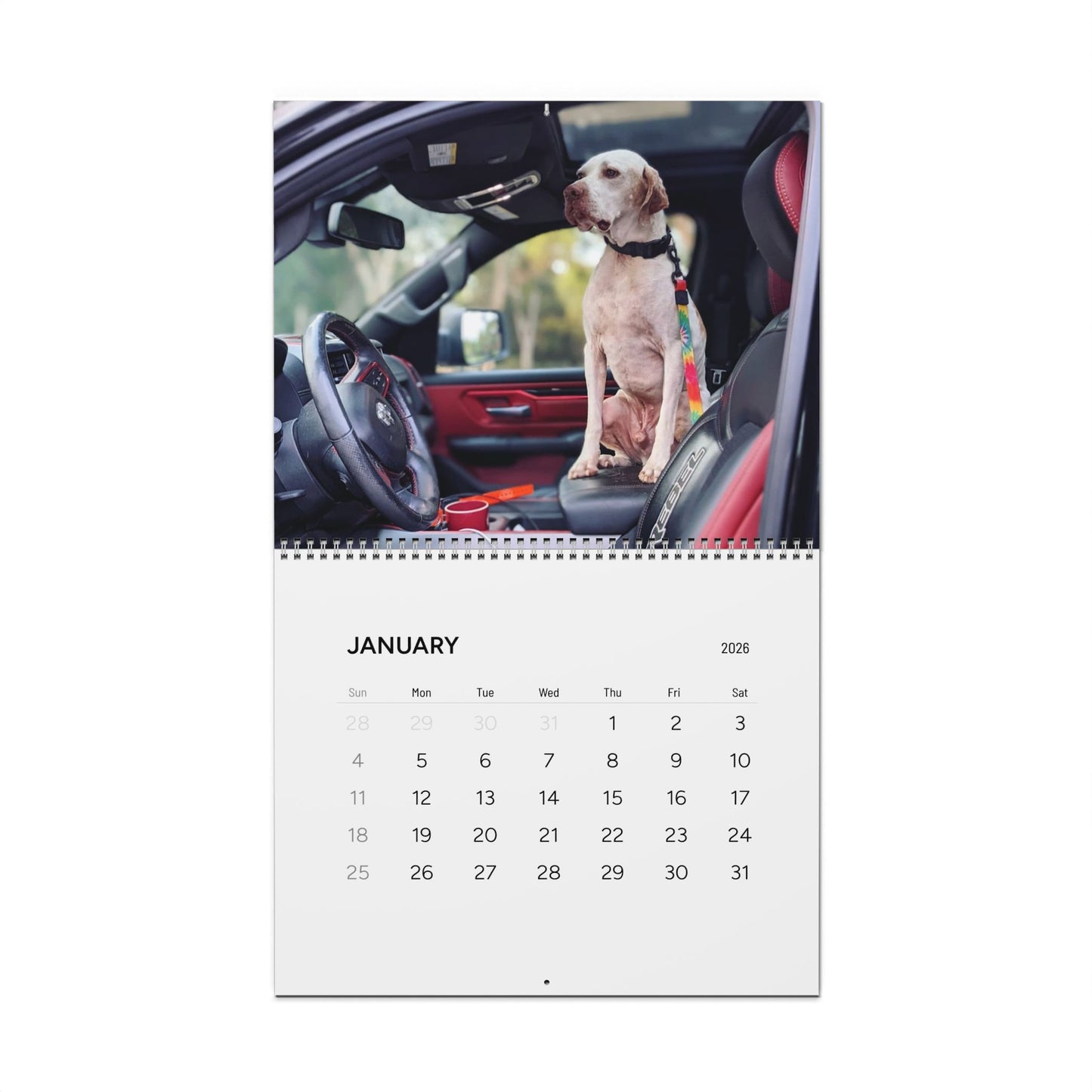 Pointer Rescue Org Wall Calendar 2026
