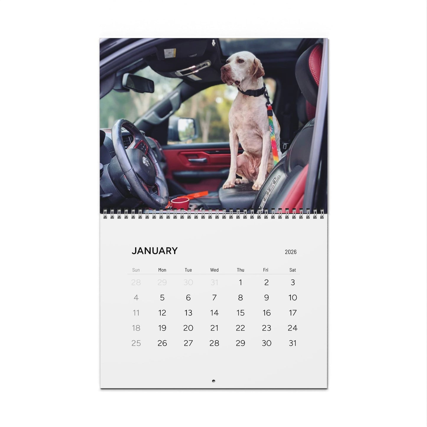 Pointer Rescue Org Wall Calendar 2026